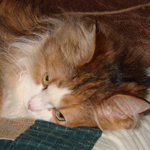 Meet your Posher, Brian